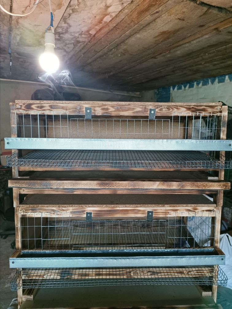 Продам перепелиные клетки