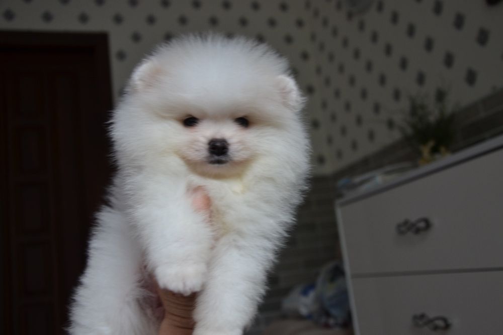 Хлопчик красунчик!