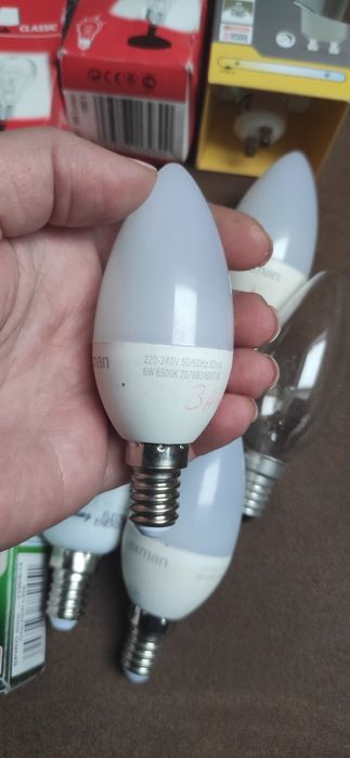 Zestaw różnych żarówek