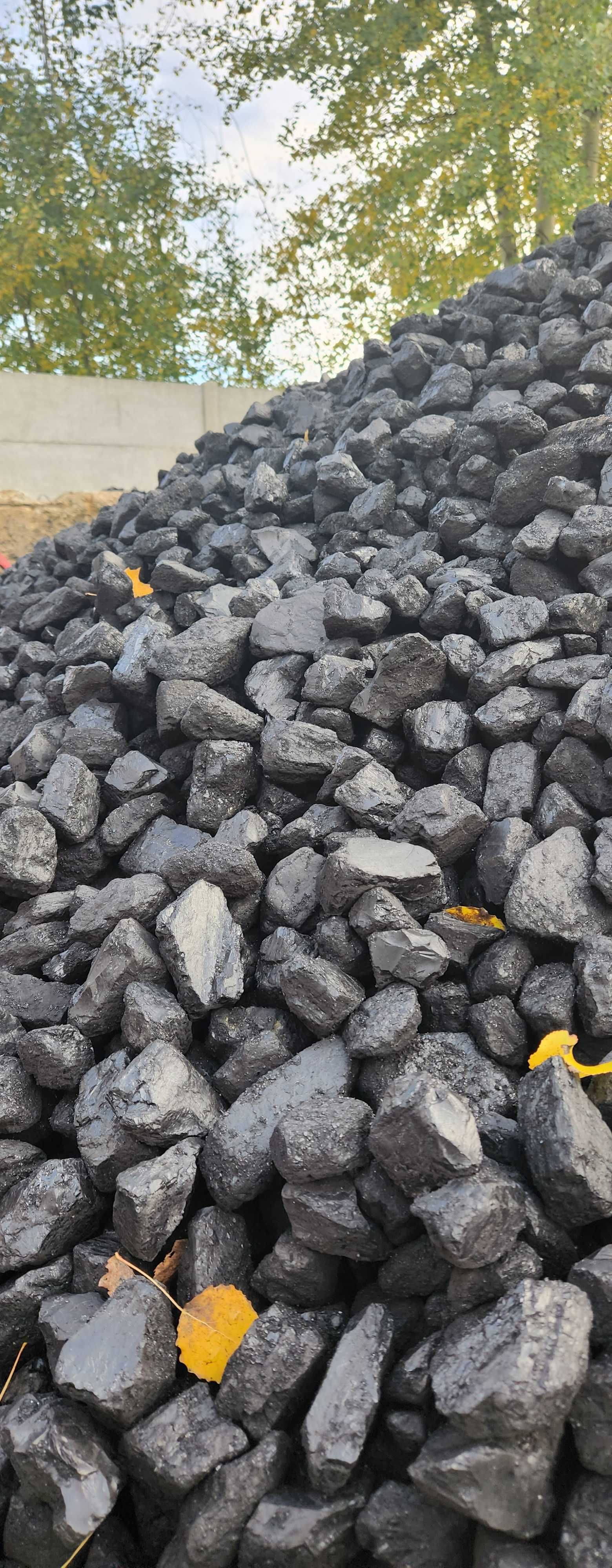 Orzech import węgiel kamienny  Szprotawa Żagań Niegosławice
