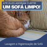 Limpeza de Sofás, Tapetes e Colchões