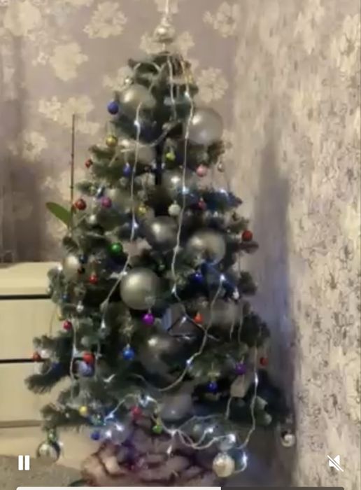 Продам ядинку засніжену  180 см