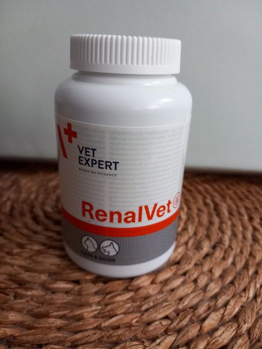 RenalVet chore nerki kota