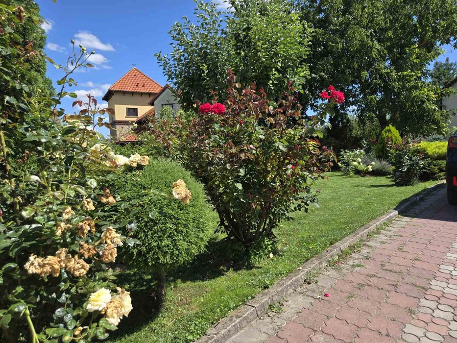 Найкраща пропозиція в м.Тернополі для великої сім'ї
