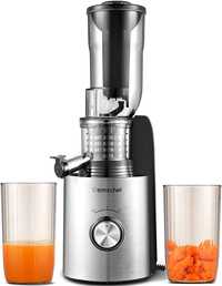 AMZCHEF Sokowirówka Slow Juicer 250 W