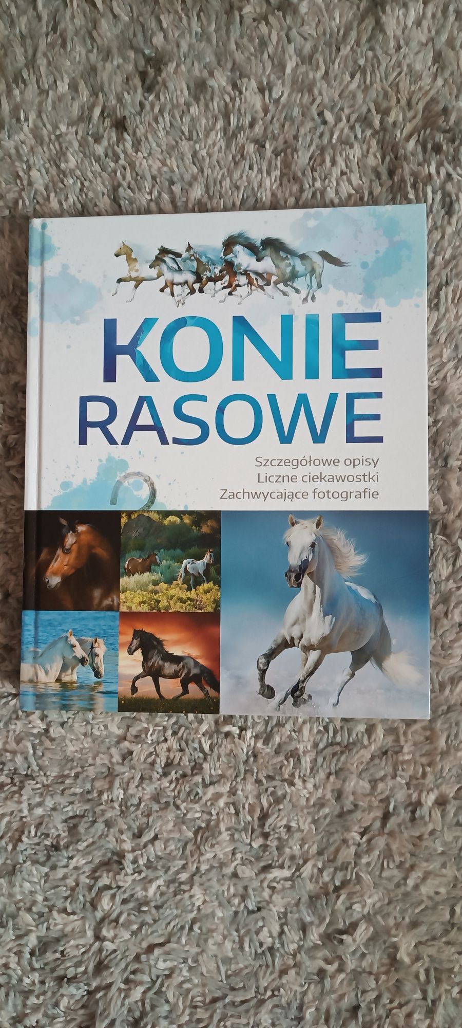 Książki Konie-nowe