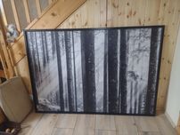 Obraz Las 200x140 IKEA