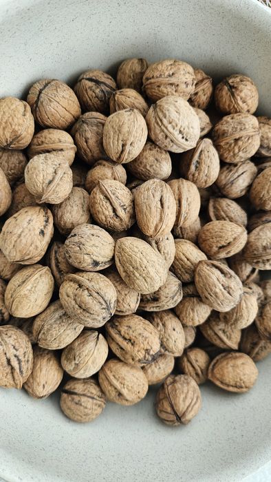 Orzechy włoskie tegoroczne 10zł/kg