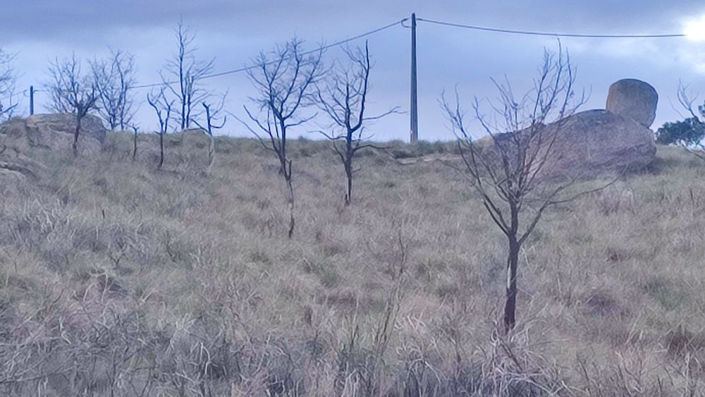 Terreno em Alvendre, Guarda
