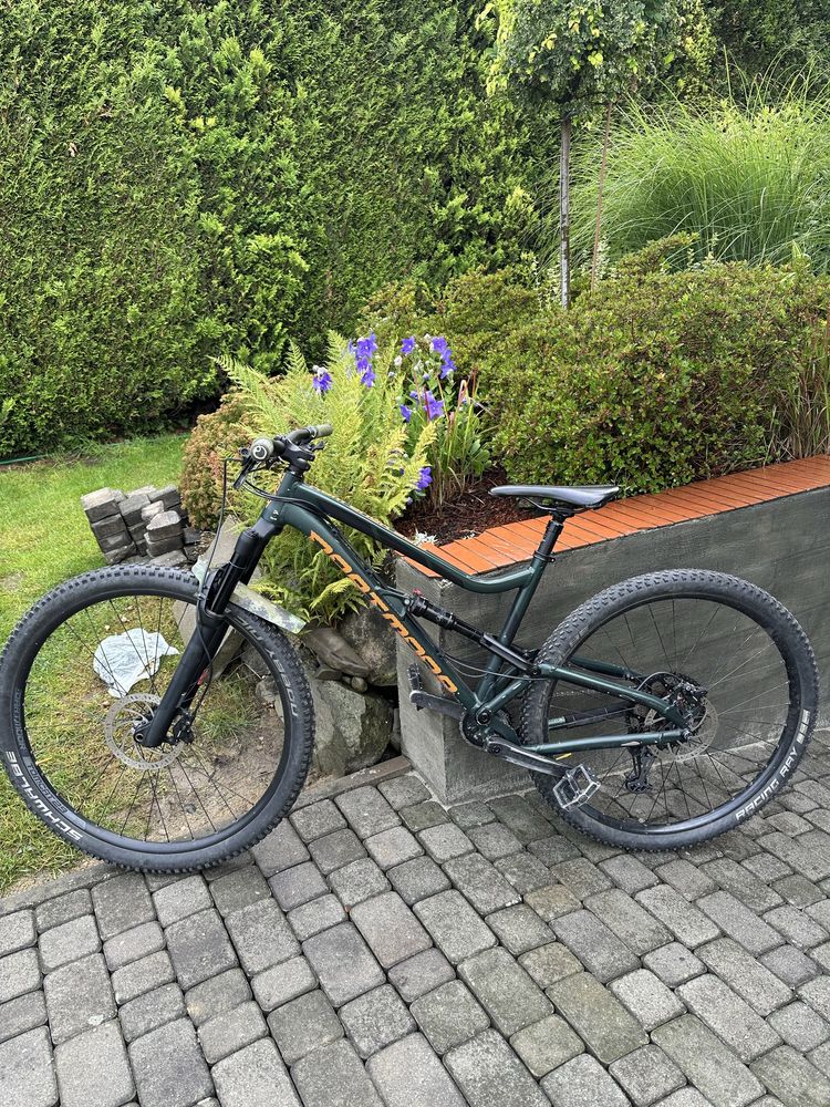 Rower górski Trail Dartmoor Bluebird Evo