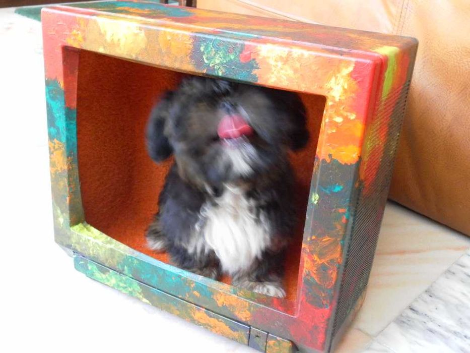 Casota artesanal para cão pequeno (Nova)