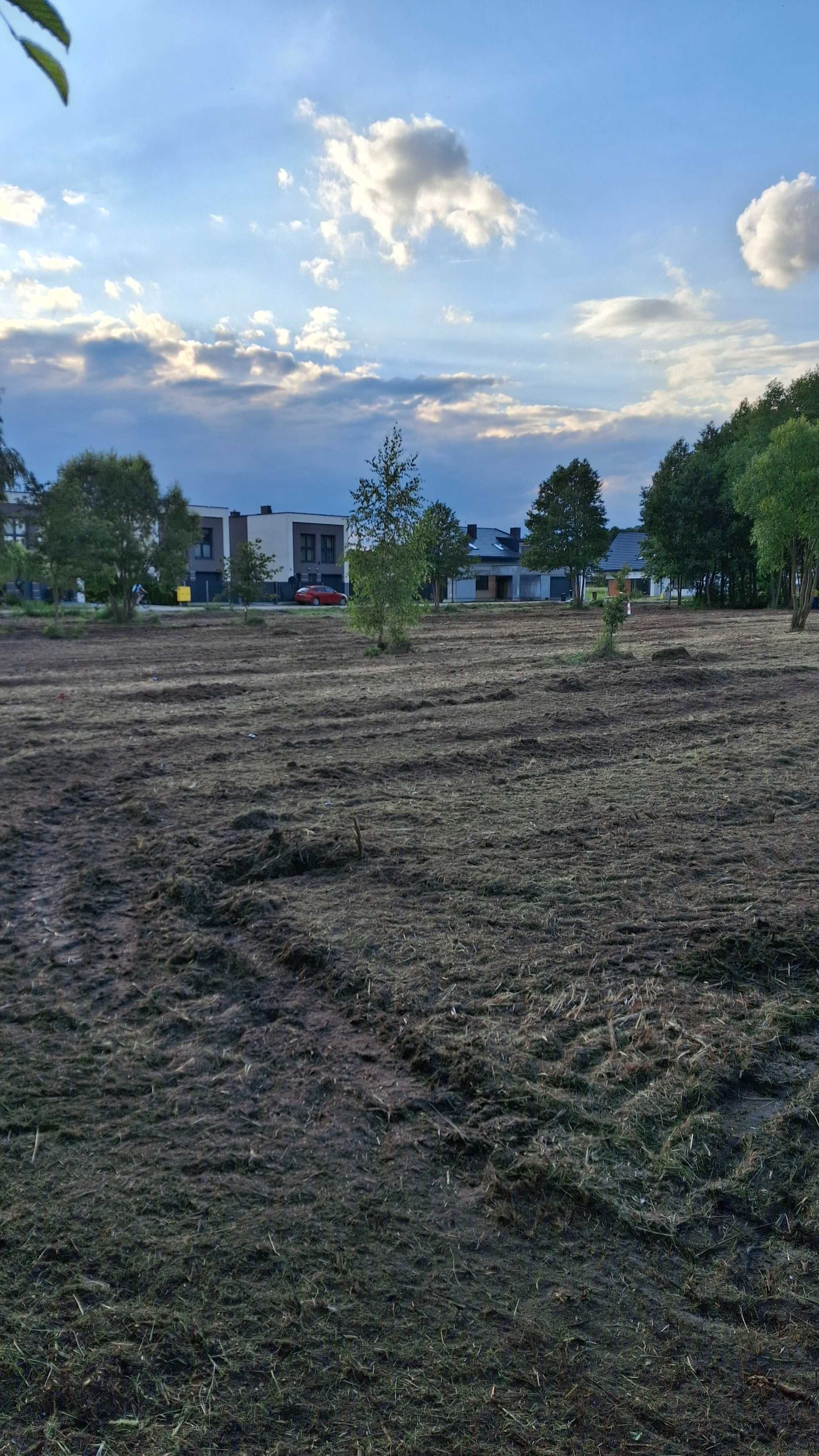 Czyszczenie działek Mulczowanie Karczowanie Usuwanie drzew i krzewów