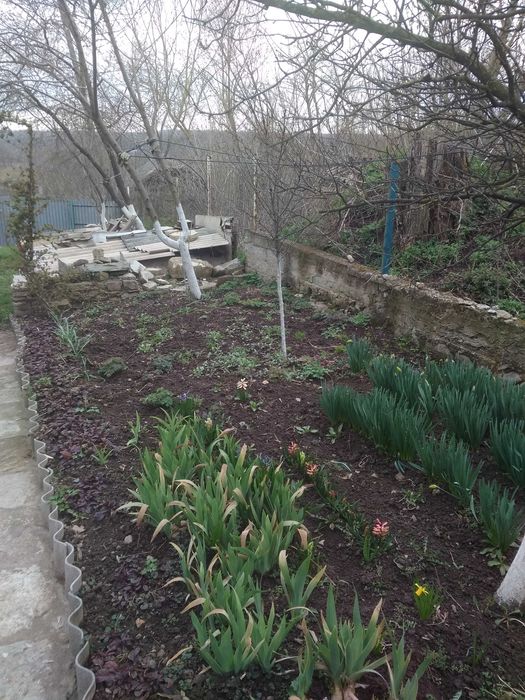 Два невеликих будинки  під дачу