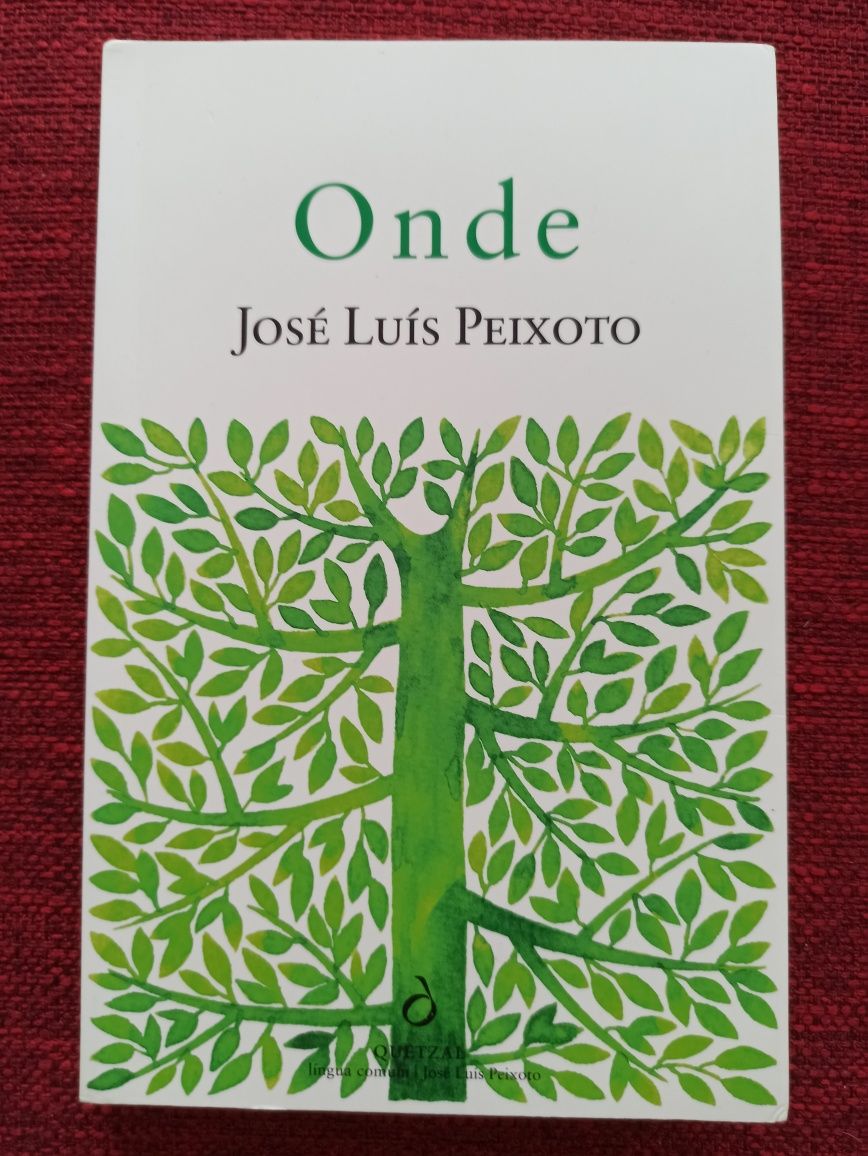 José Luís Peixoto - Onde