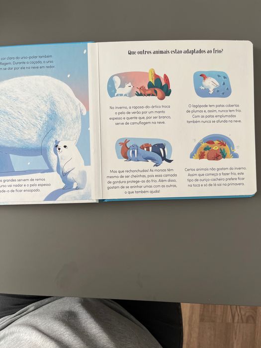 Os Animais Mais Radicais do Mundo, livro para crianças