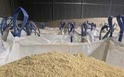 Kukurydza sucha , mielona ,luz