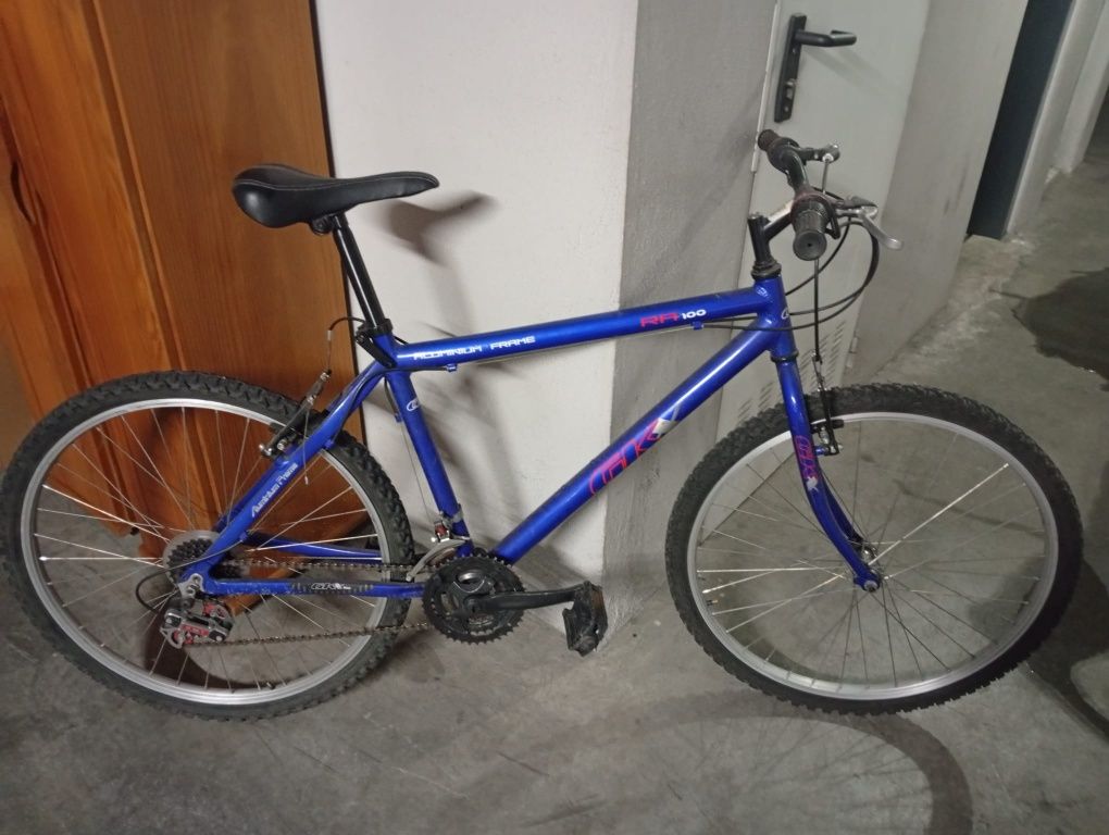 Duas bicicletas adulto