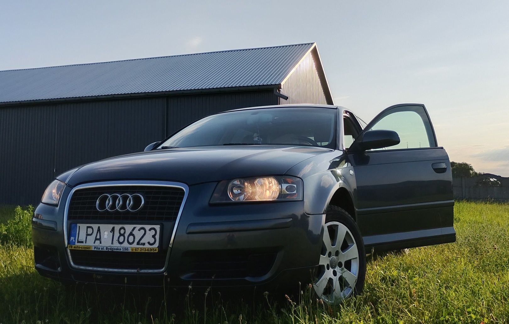 Audi A3 8P 1.9 TDI