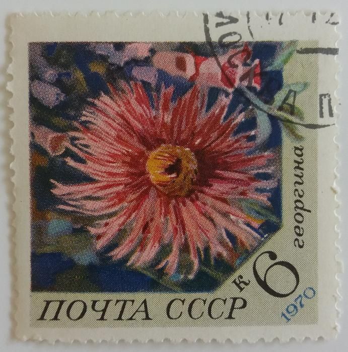 Znaczki pocztowe, ZSRR 1970, Kwiaty