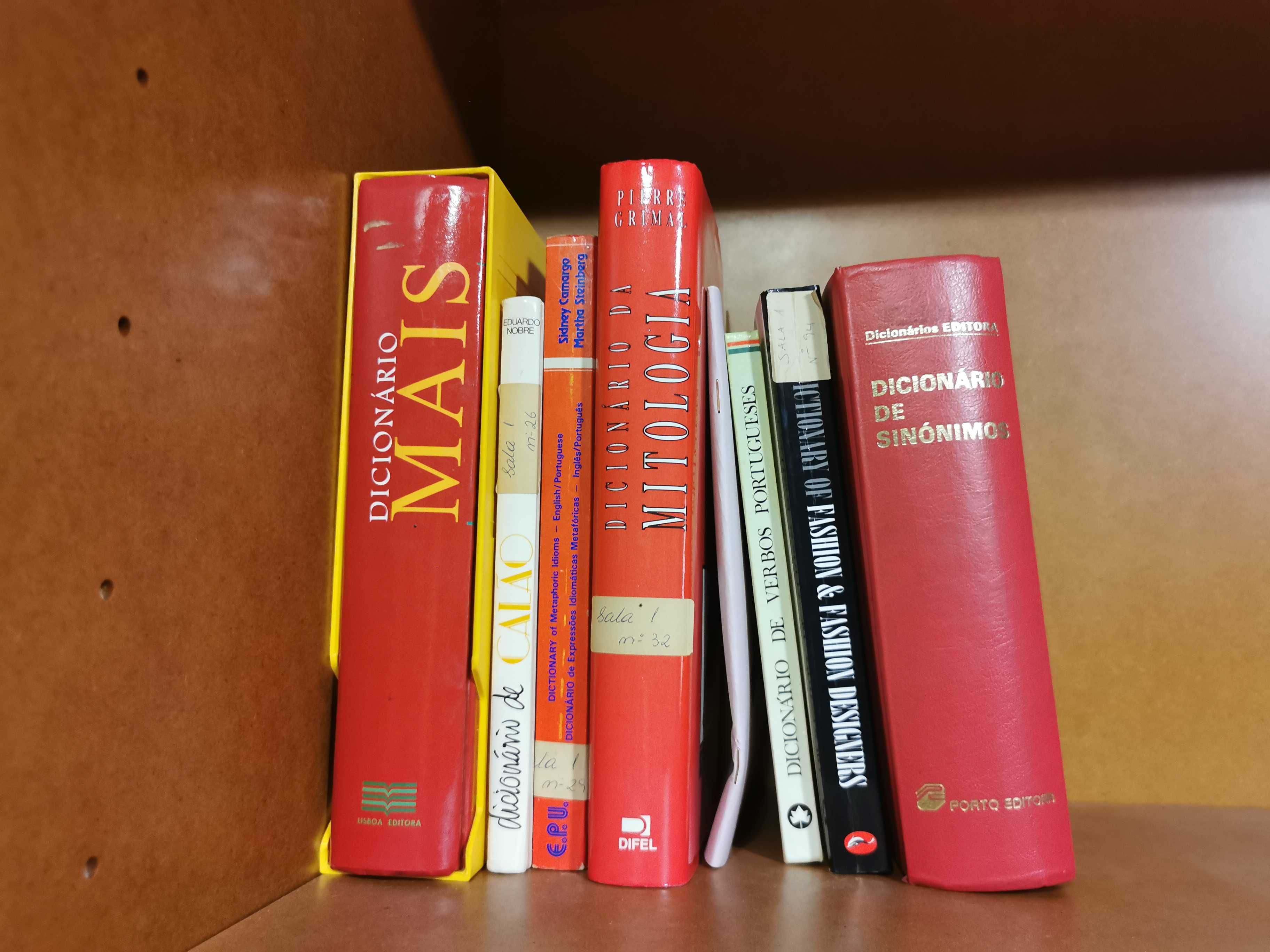Dicionários / Livros