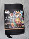 100 Canetas Acrilicas + Livro de Colorir Disney