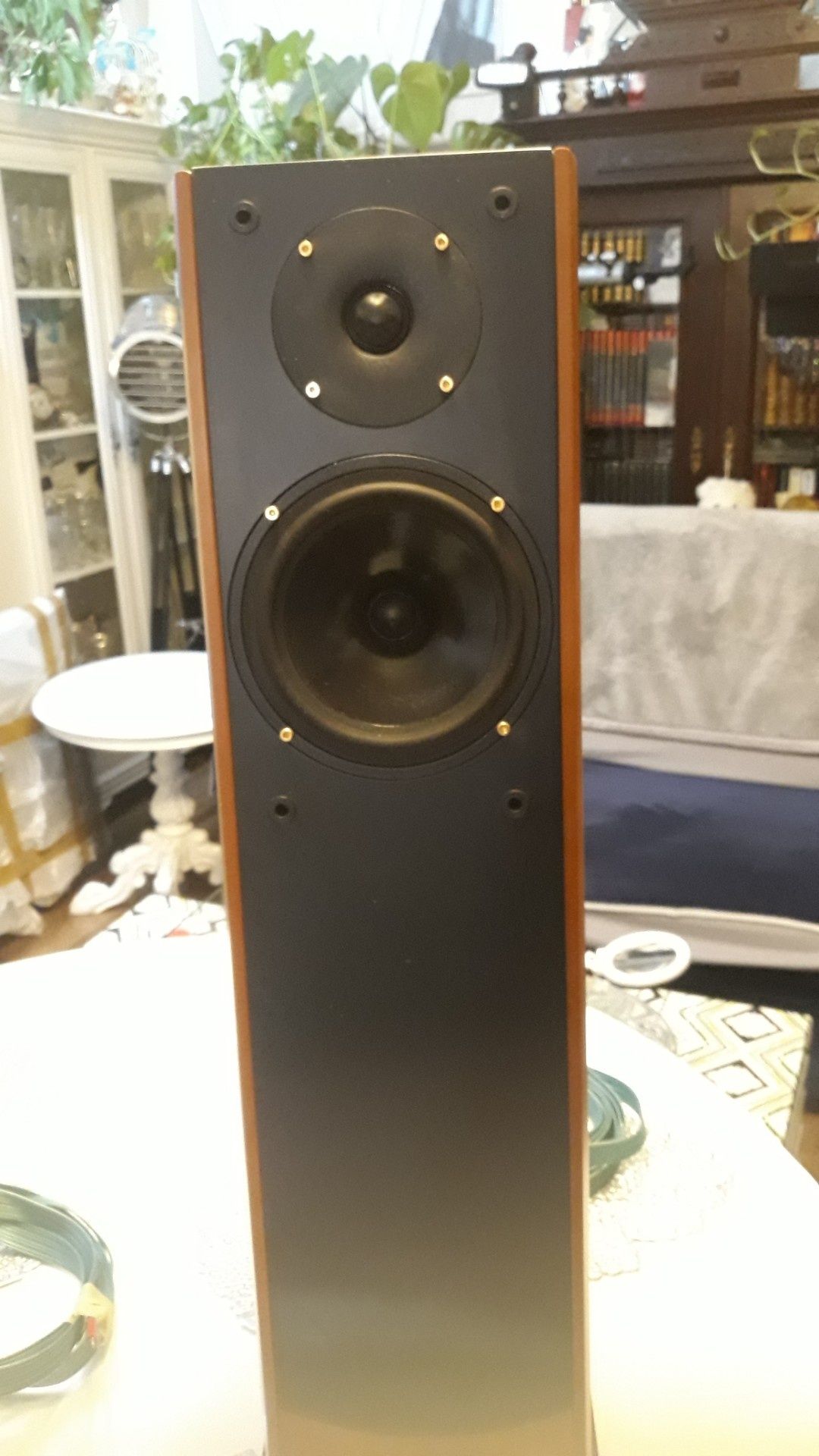 Kolumny Ruark Acoustics Templar