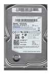 dysk samsung hd161gj