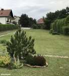 Działka budowlana 746 m² w spokojnej okolicy