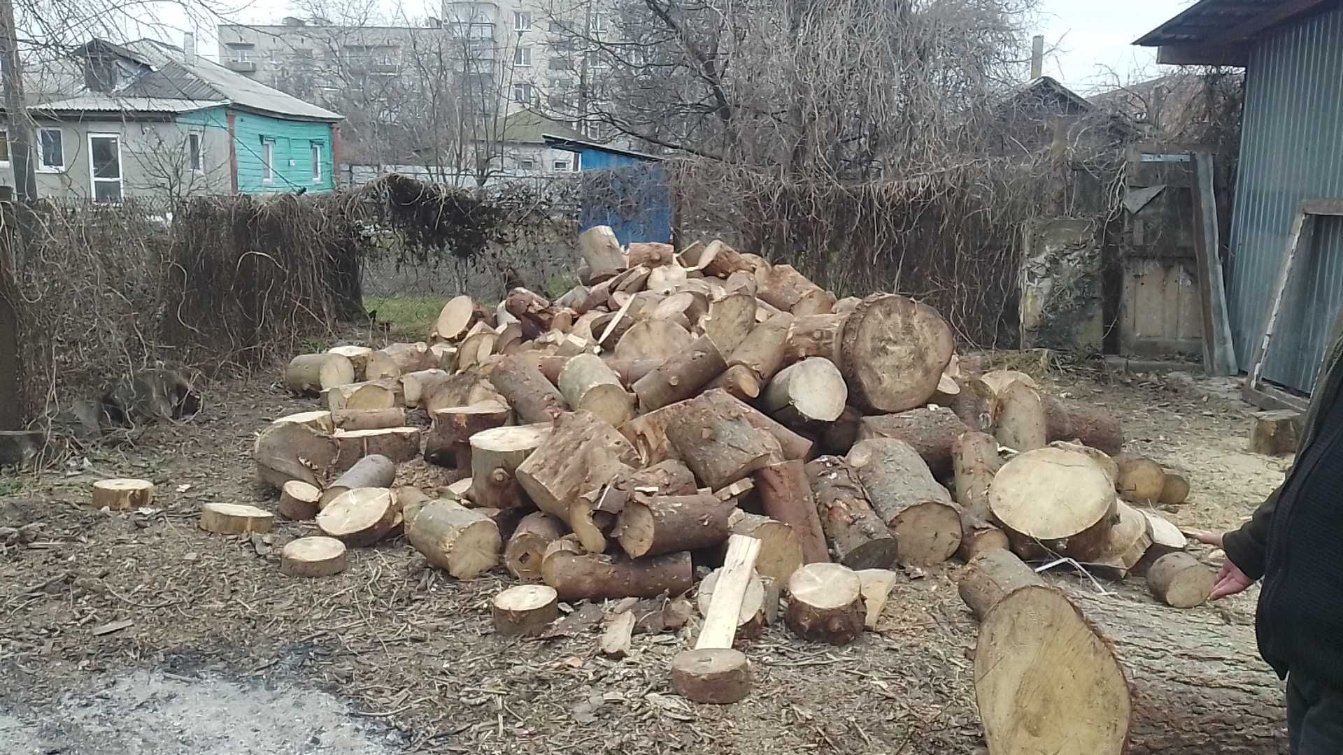 ДРОВА з доставкою.