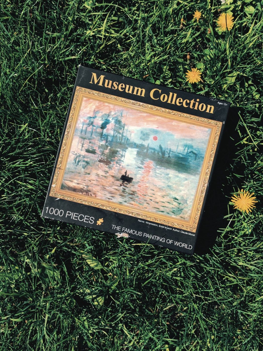 Пазл из музейной коллекции, 1000 деталей, Клод Моне