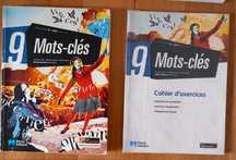 Manuais e cadernos de atividades 9° ano.