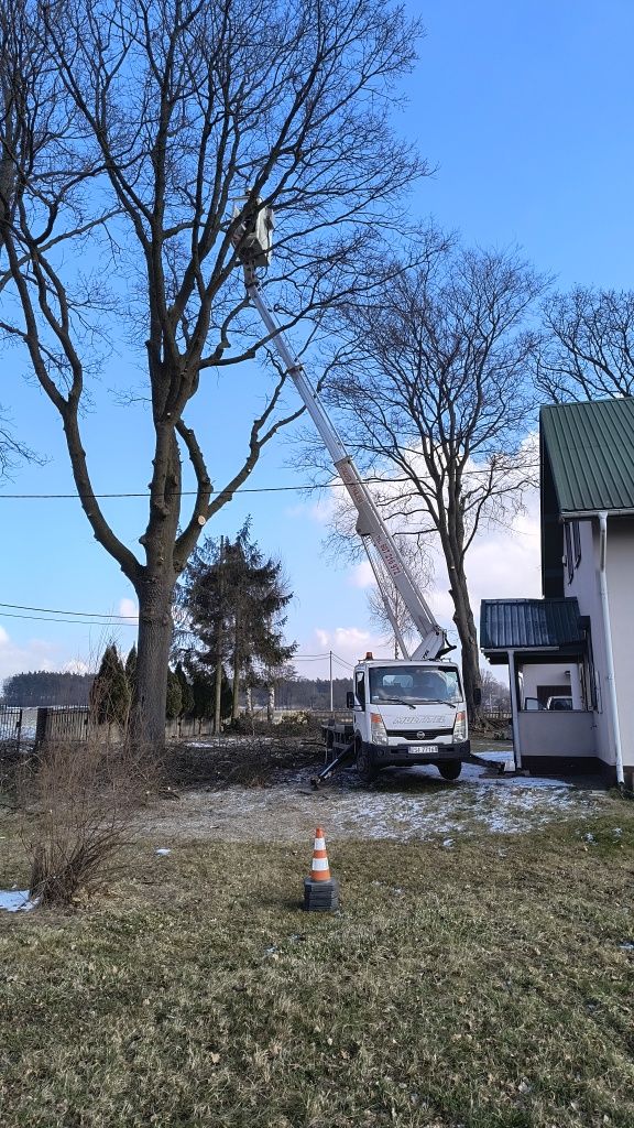 Podnośnik koszowy, usługi, wynajem, Sieradz i okolice.