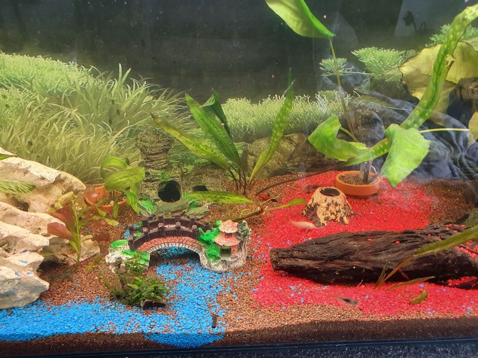 Akwarium 110 x 30 x 35