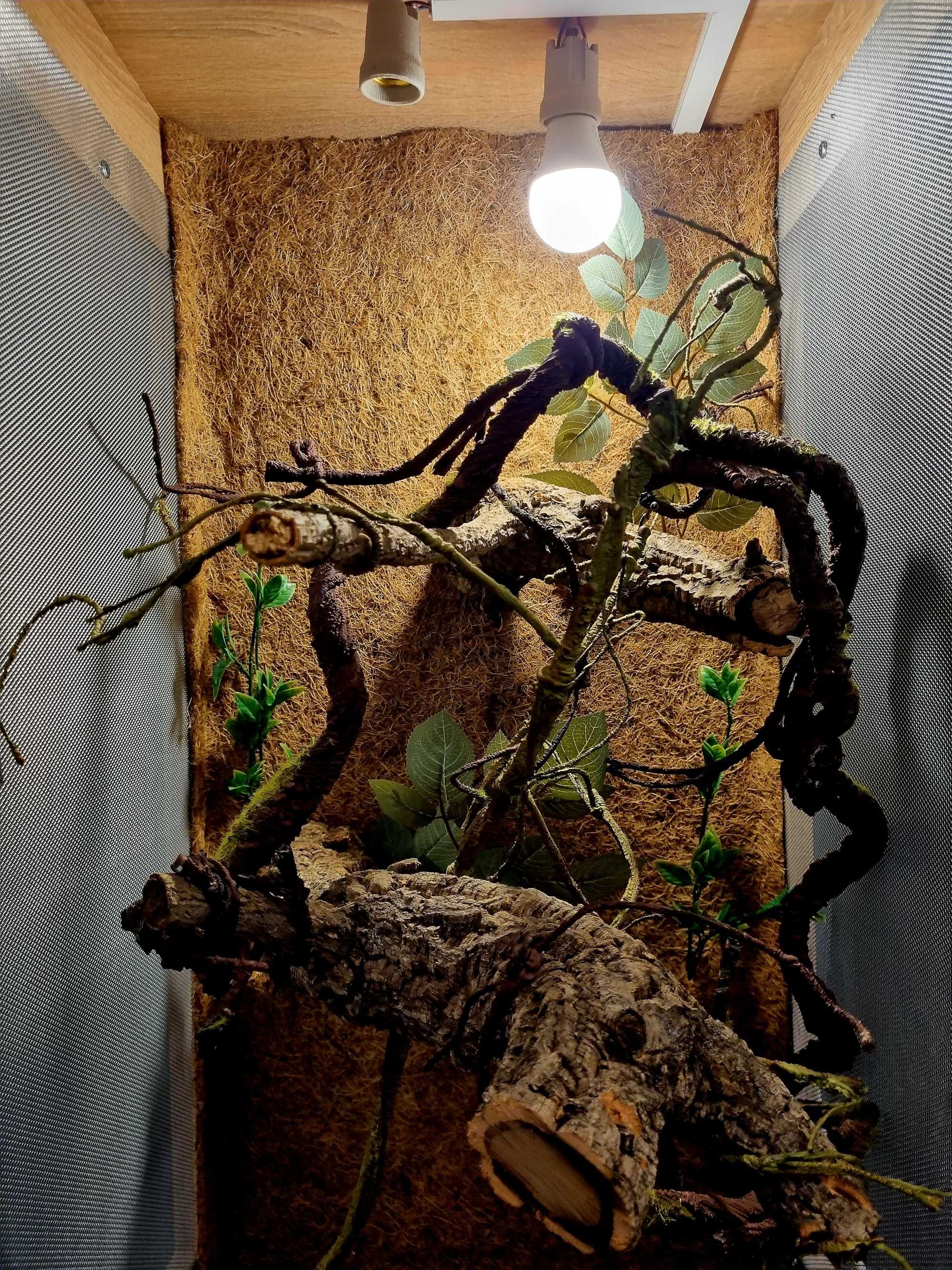 Terrarium 50x50x100 dla kameleona