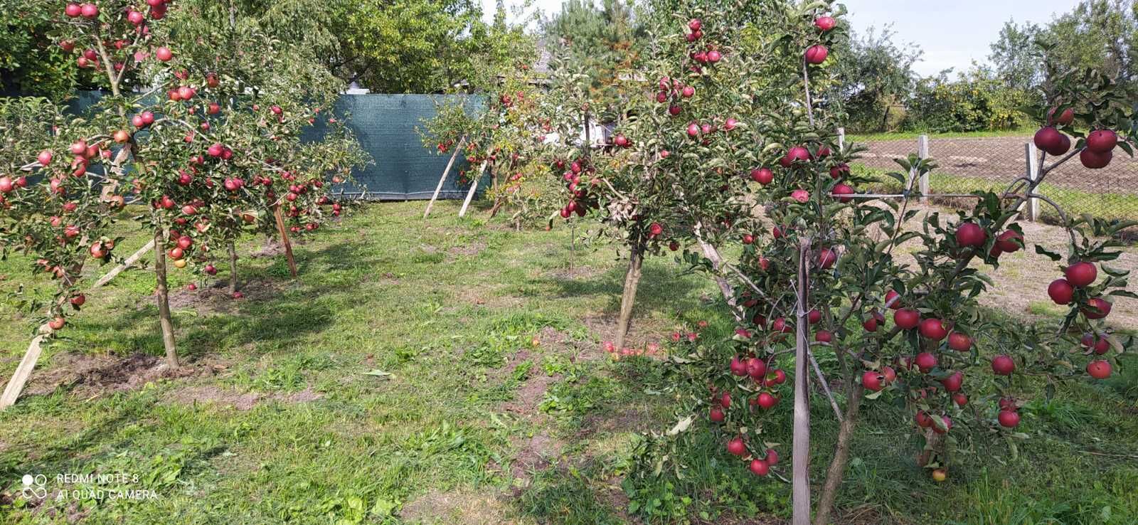 Продам будинок за містом, с. Матяшівка
