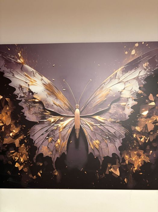 Sprzedam eleganckie obrazy