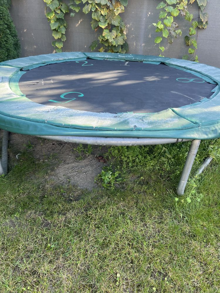 Firmowa porządna trampolina 244cm Power Jumper