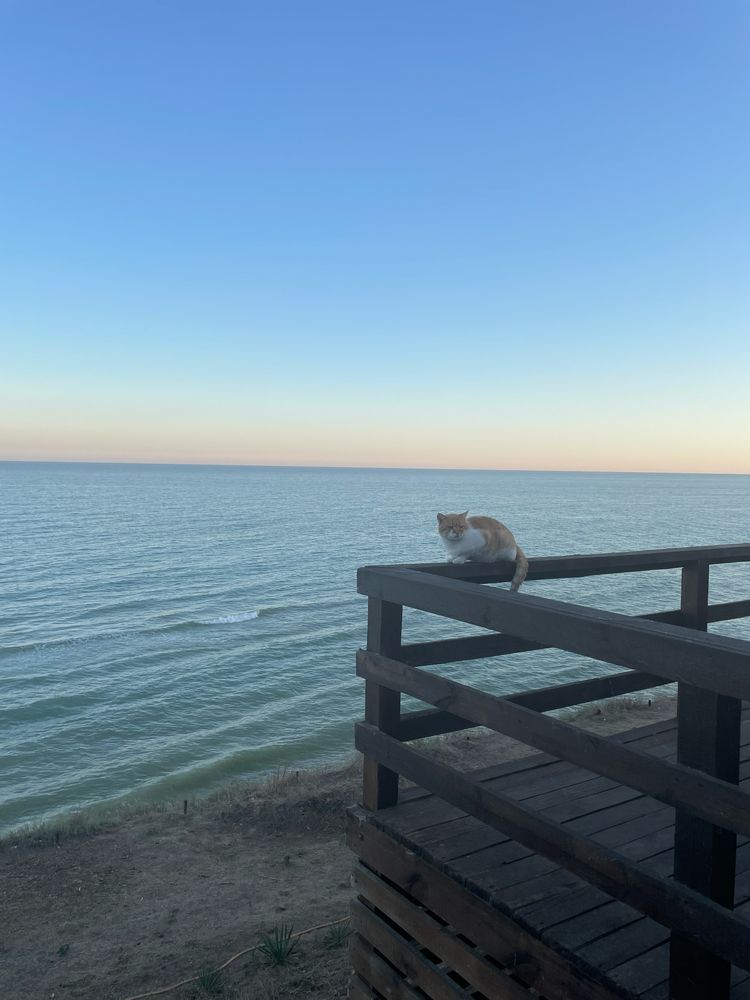 Апарт-готель у моря. Перша лінія.