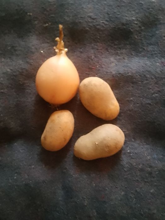 Приму в дар овощи