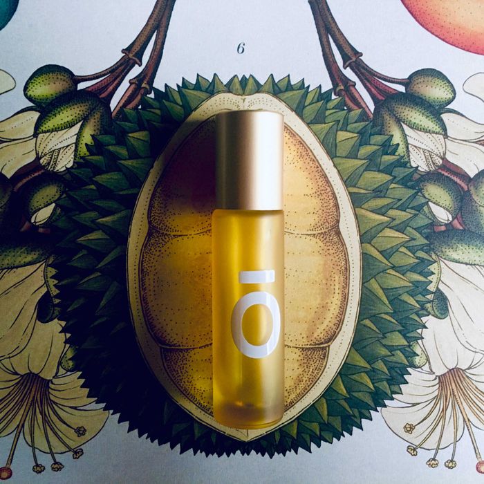 PERFUMY BOTANICZNE dla czakry splotu słonecznego: wetiweria_bergamotka