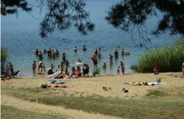 Mazury  - domki 4-8 os. jezioro, plaża, łowisko, las