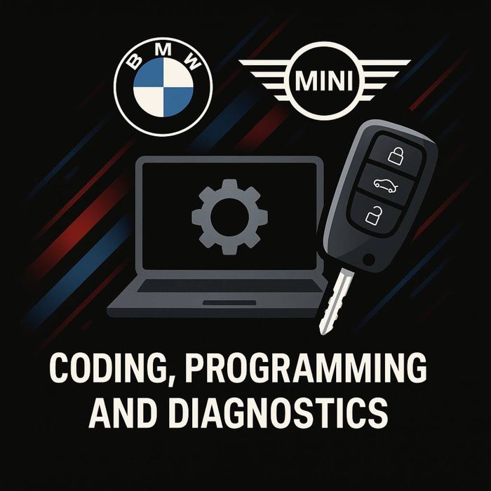 BMW / MINI автоэлектрик – выезд, кодировка, дооснащение (E F G series)