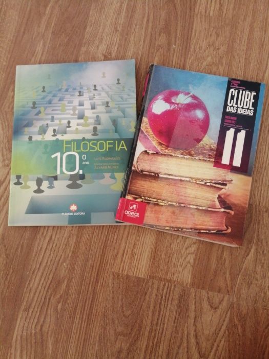 Manuais 10 e 11 ano, português, filosofia, física e química, bio...