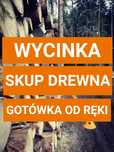 Wycinka drzew, lasów|SKUP DREWNA|WYCENA GRATIS|Usługi rębakiem