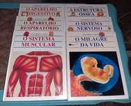 Livros sobre o Corpo Humano