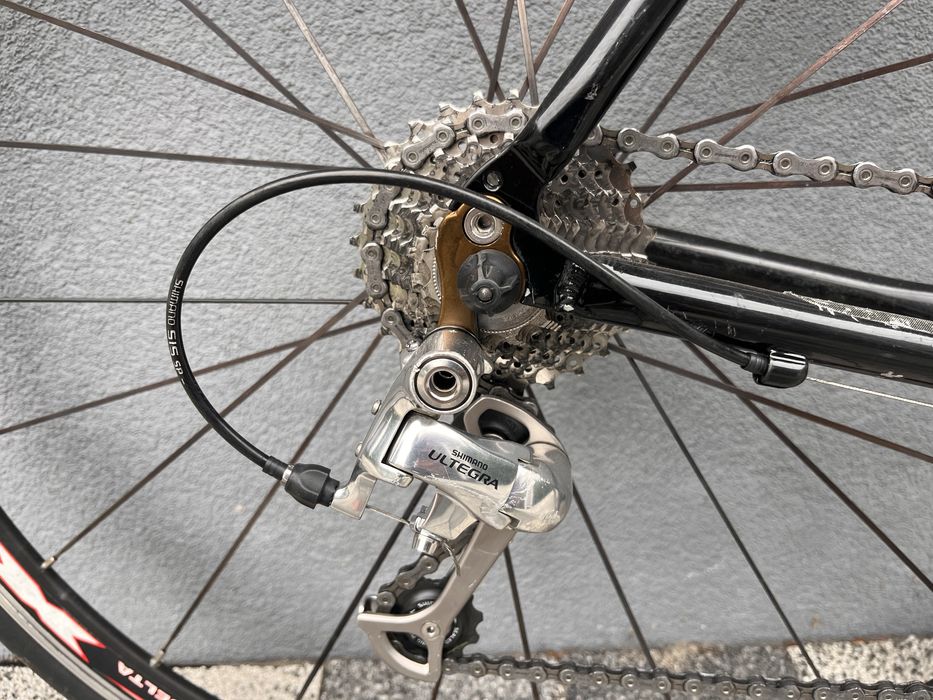 Szosa Windsor Ultegra r.55