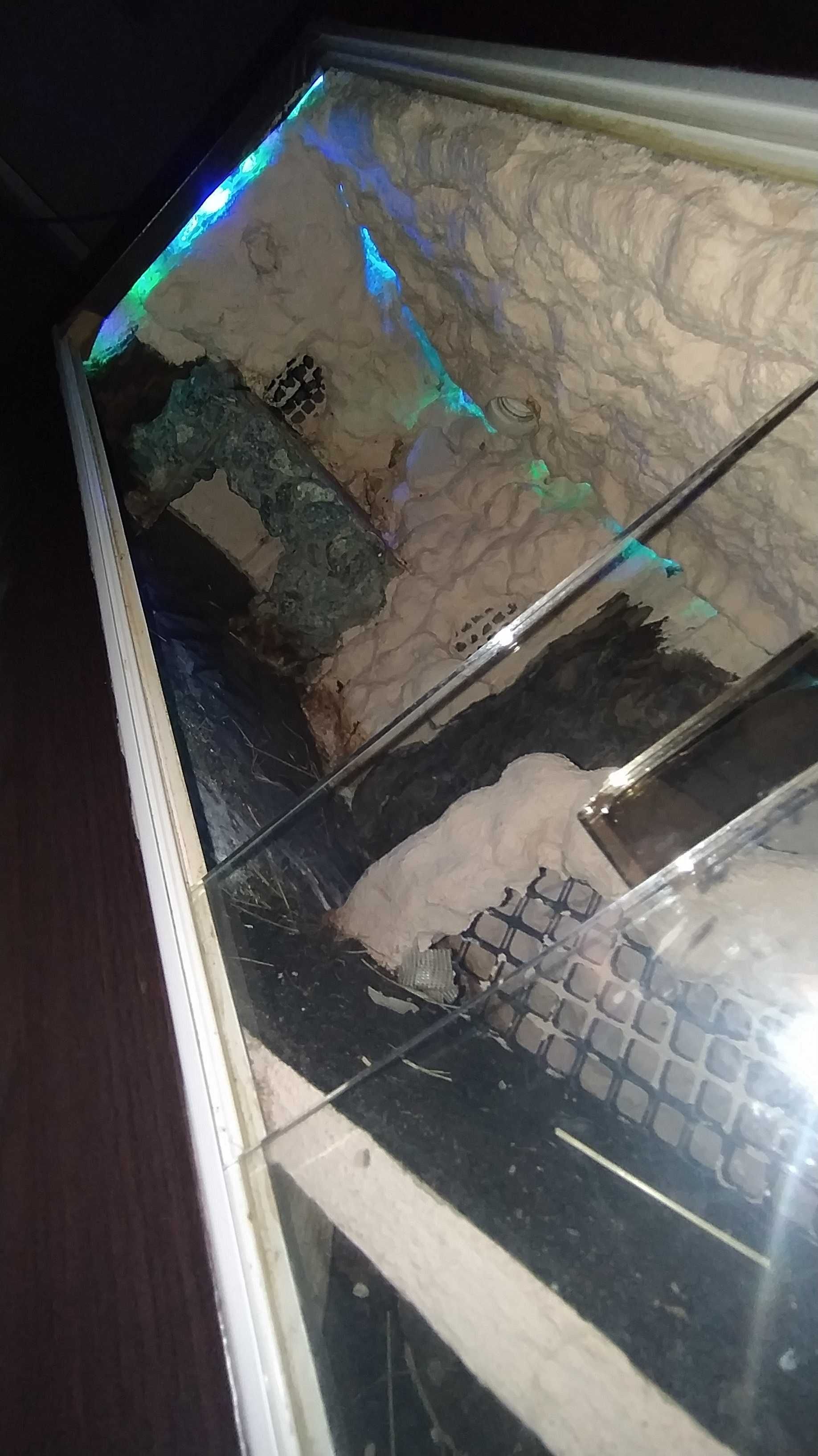 Terrarium dwupoziomowe-Nowa Cena