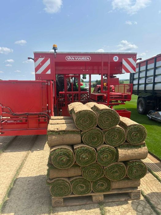 Trawa z rolki, trawa rolowana - najwyższa jakość - plantacja Lublin