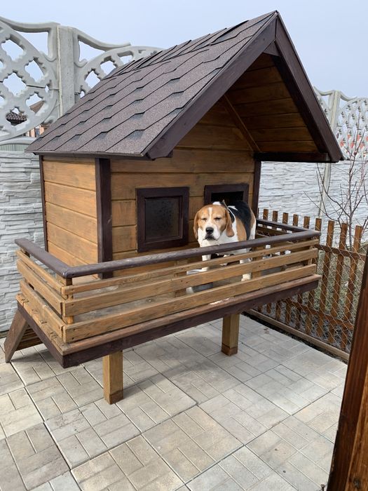 Будка для собаки