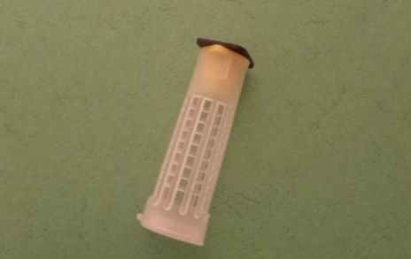 Бигуди для выводу маток. Защитная клеточка для пчелиных маток. Бігуді